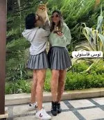 دامن پلیسه - Image 4
